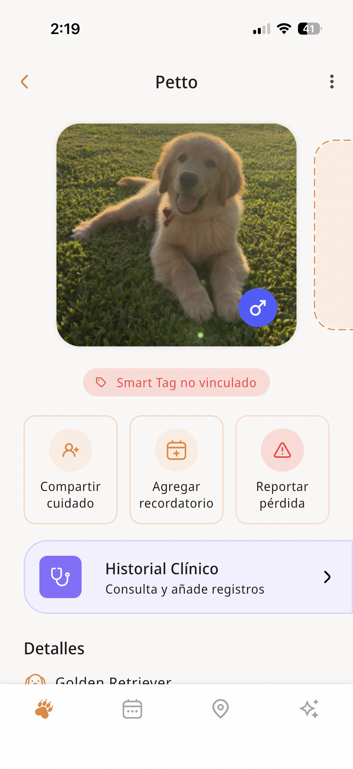 Rudel — perfil de mascota