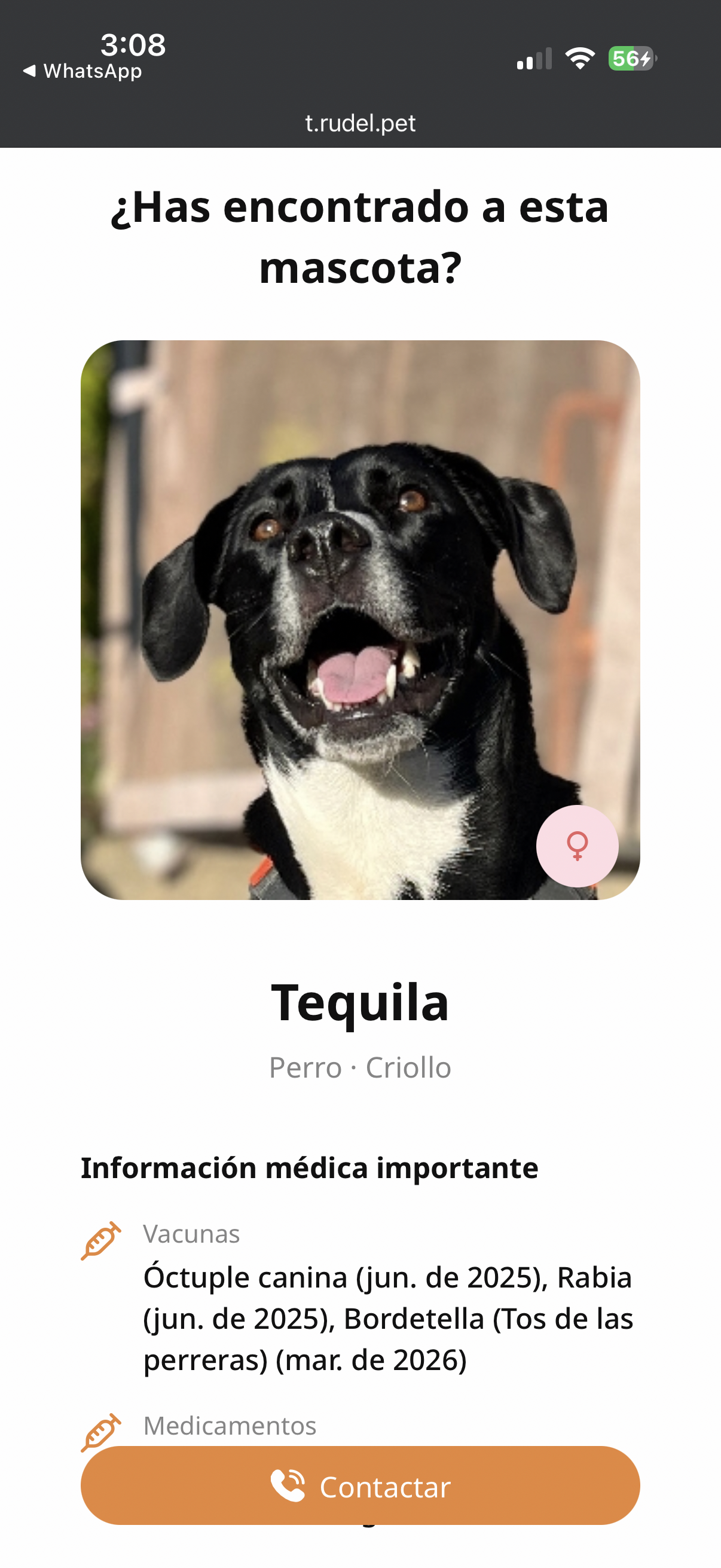 Quien encuentre a tu mascota, te encuentra a ti.